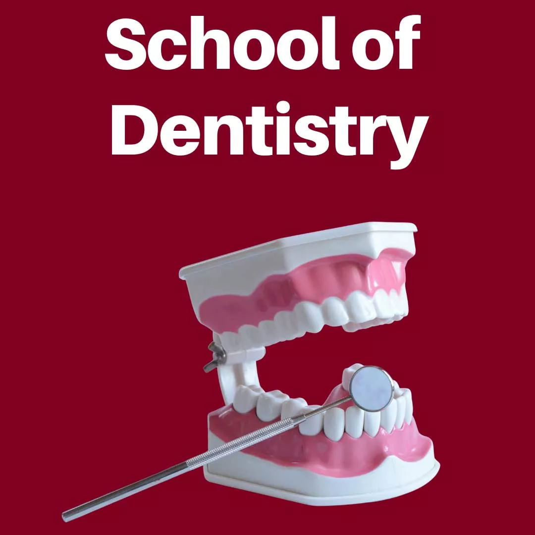 School Of Dentistry Collection 